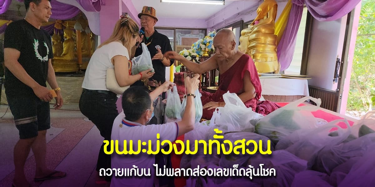 เจ้าของร้านผลไม้ยอดขายพุ่ง แห่มาแก้บนพร้อมมะม่วง ไม่พลาดส่องเลขเด็ด