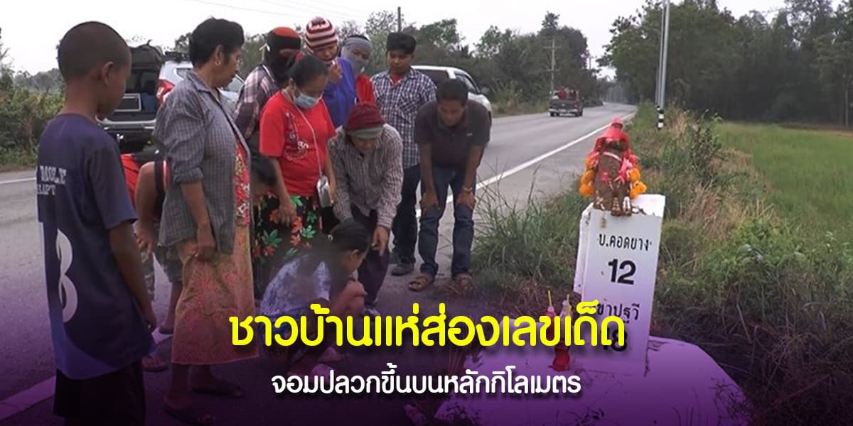 จอมปลวกขึ้นบนหลักกิโลเมตร