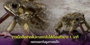 คลิปคางคกงับไส้เดือนตัวยาว 1 นาที